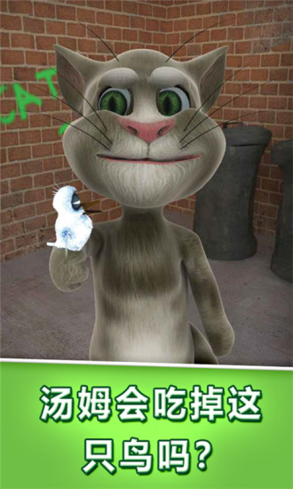 会说话的汤姆猫 会说话的汤姆猫