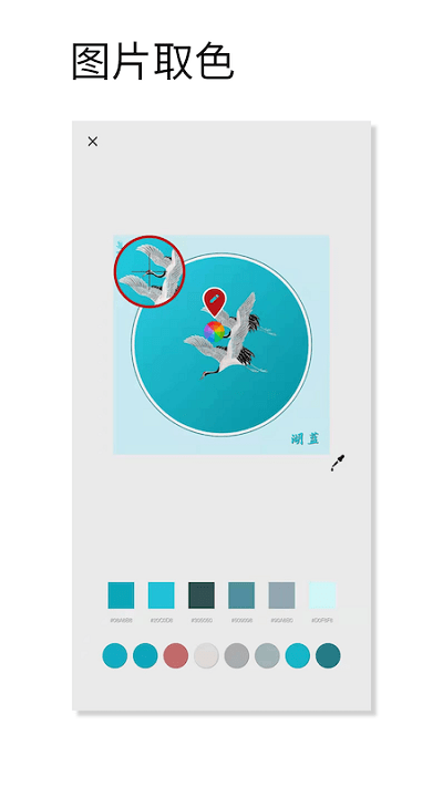 观色配色 观色配色