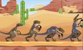 猛禽翼龙竞技场 猛禽翼龙竞技场