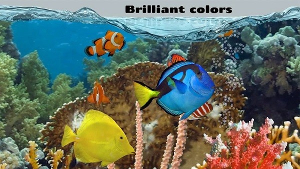 养鱼场2汉化版 安卓版v1.5.5 (GP) 养鱼场2汉化版 安卓版v1.5.5 (GP)