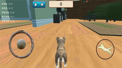 猫咪和奶奶的世界 猫咪和奶奶的世界