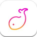伴鱼音乐app官网手机版