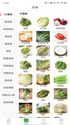 澧溪生活 澧溪生活