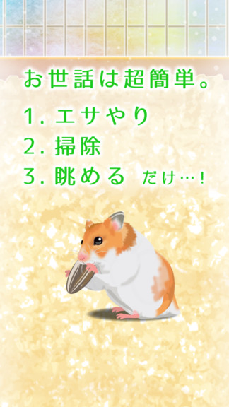 治愈系仓鼠 治愈系仓鼠