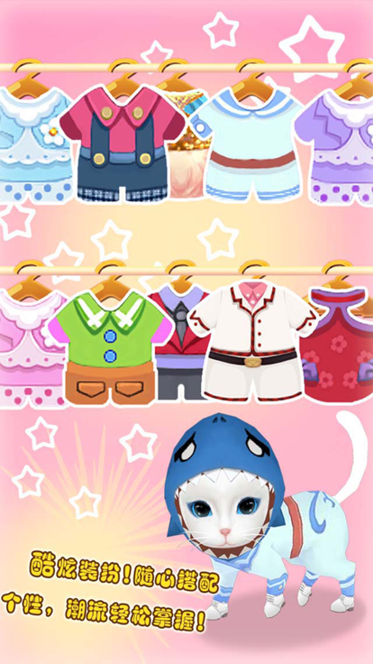 晴天小猫 晴天小猫