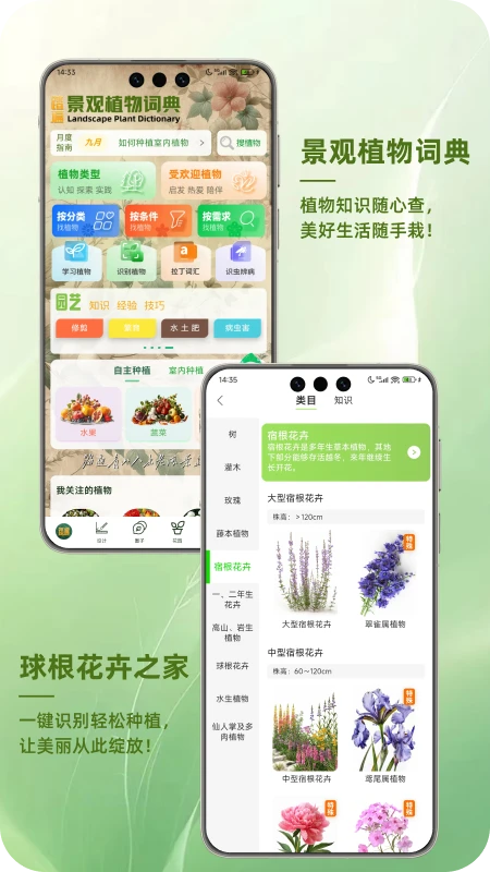 踏遍景观植物词典 踏遍景观植物词典