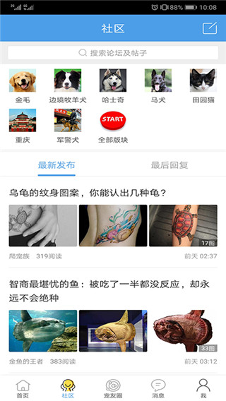 宠物之家 宠物之家