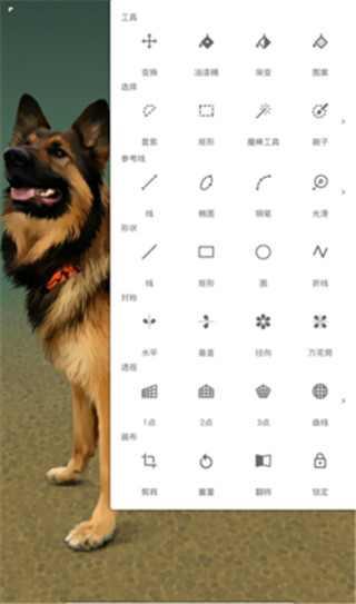 无限绘画专业版 安卓版v6.4.2 无限绘画专业版 安卓版v6.4.2