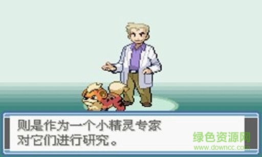 宠物小精灵2 宠物小精灵2