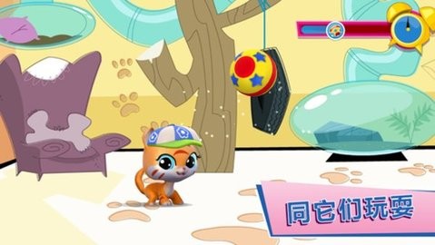 小小宠物园安卓版 小小宠物园安卓版