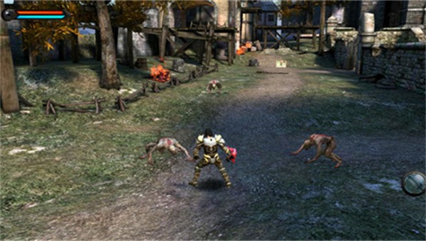 狂野之血 狂野之血