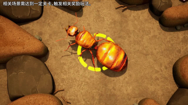 守望家园 守望家园