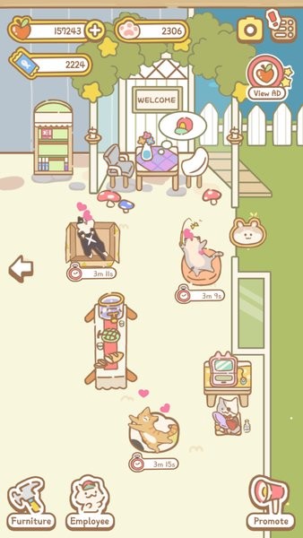 猫咪澡堂游戏 猫咪澡堂游戏