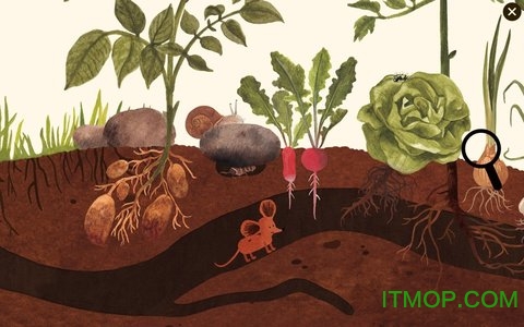 小棕鼠的自然生态百科 小棕鼠的自然生态百科