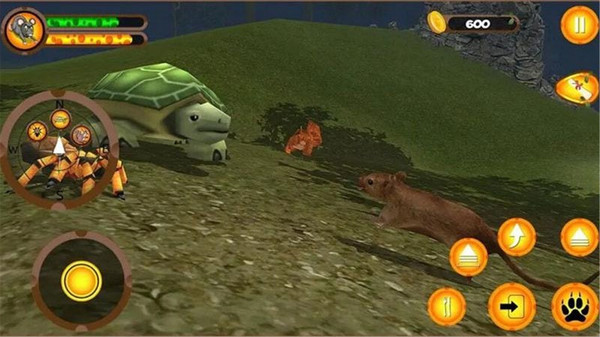 疯狂老鼠王 疯狂老鼠王