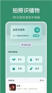 花仙识花草 花仙识花草