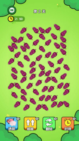 一飞冲天的猪仔 一飞冲天的猪仔