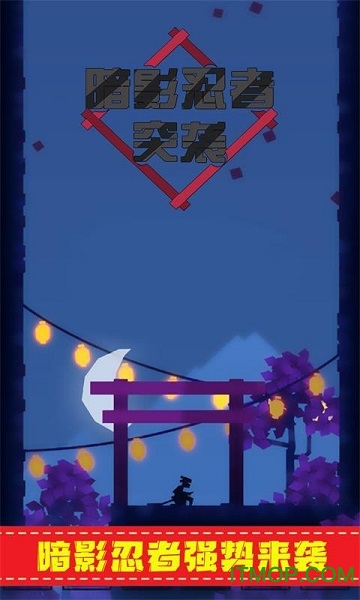 暗影忍者突袭 暗影忍者突袭