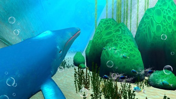 蓝鲸海洋生物模拟3D 蓝鲸海洋生物模拟3D