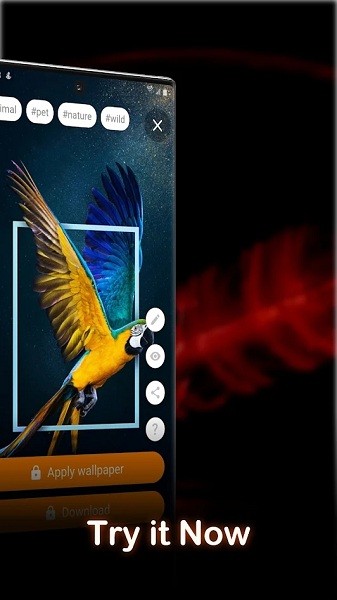 4k动态壁纸 4k动态壁纸