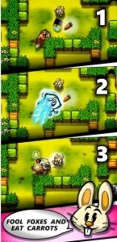 有趣的兔子迷宫 有趣的兔子迷宫