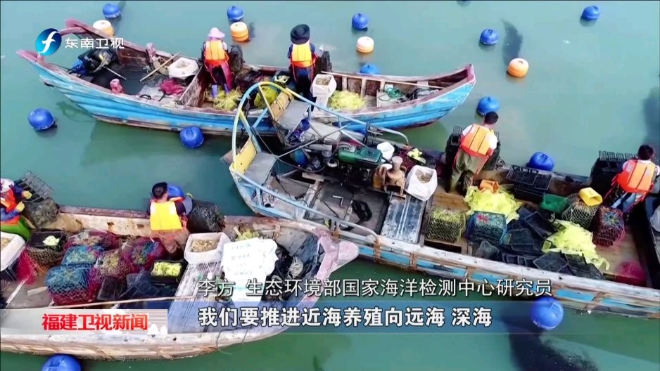 天光云影 天光云影