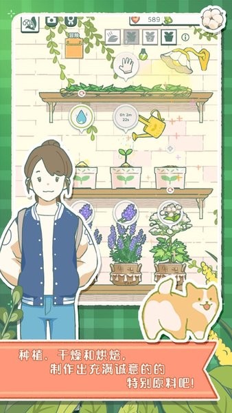 寄心茶屋破解版无广告 寄心茶屋破解版无广告