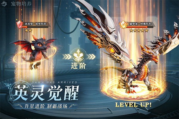 黎明之塔官方正版 黎明之塔官方正版