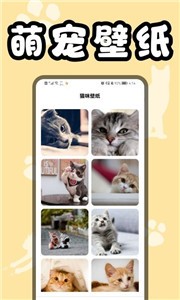 猫猫翻译器软件 猫猫翻译器软件