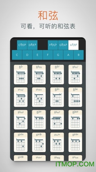 吉他大师 吉他大师
