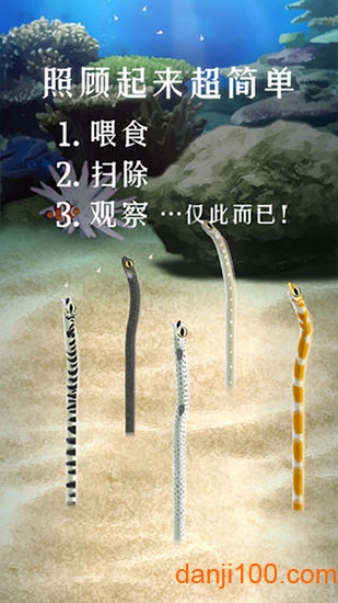 养育水母的治愈游戏 养育水母的治愈游戏