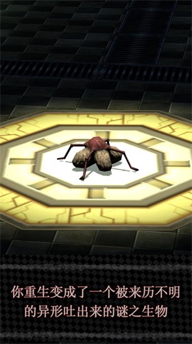 一觉醒来竟与世界为敌表情包app 一觉醒来竟与世界为敌表情包app