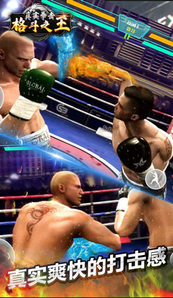真实拳击格斗之王 真实拳击格斗之王
