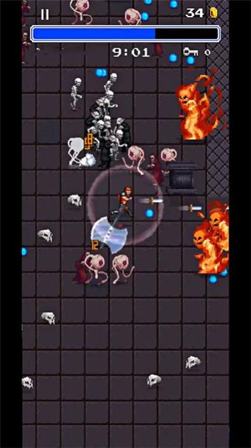 吸血鬼幸存者3 吸血鬼幸存者3