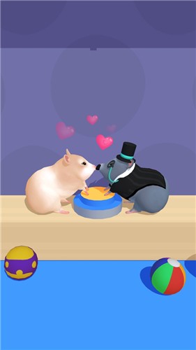 仓鼠迷宫大作战 仓鼠迷宫大作战