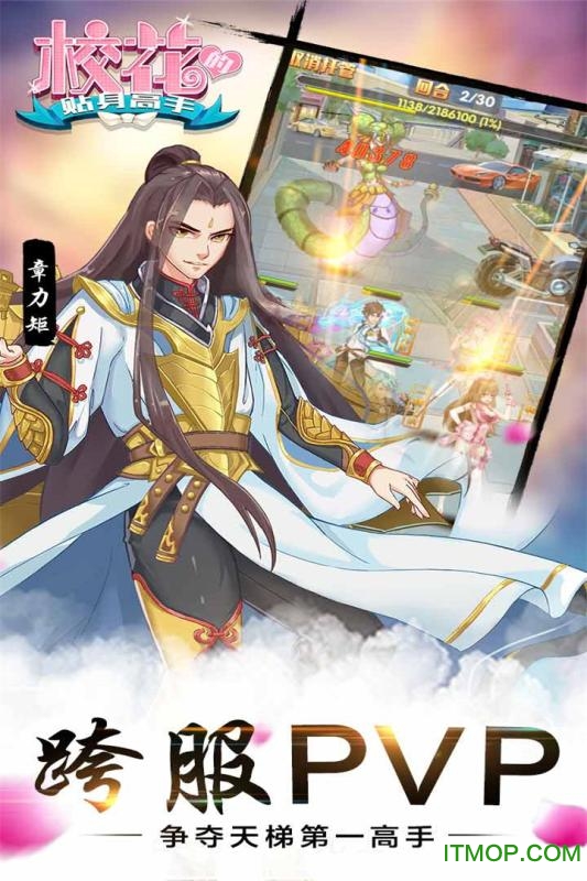 校花的贴身高手