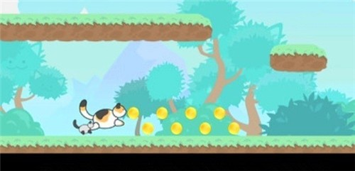 橘猫跑酷 橘猫跑酷