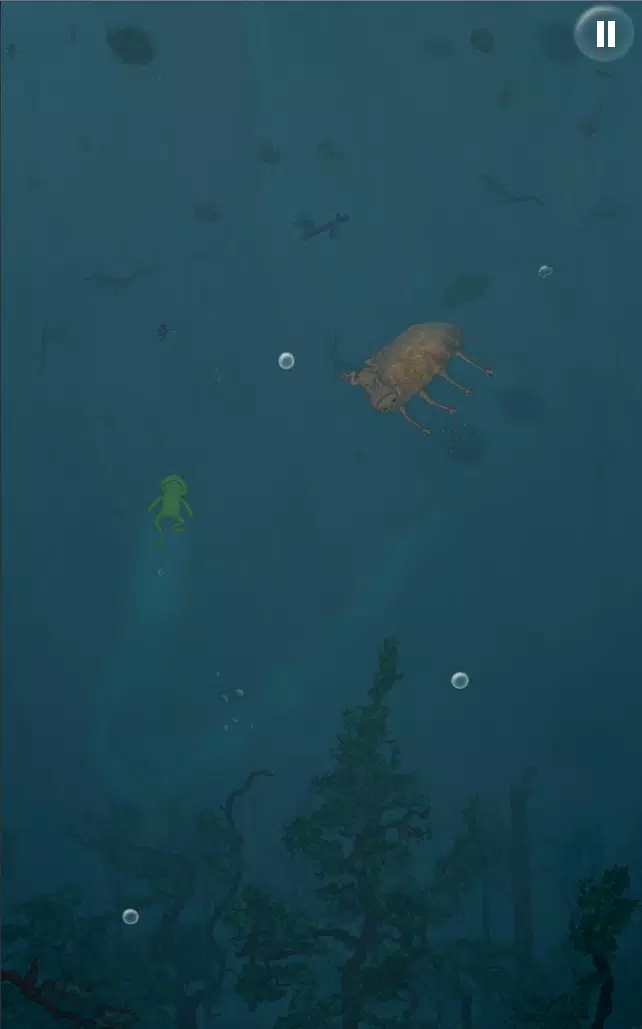 青蛙深呼吸 青蛙深呼吸