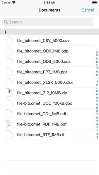 BitComet比特彗星手机版app BitComet比特彗星手机版app