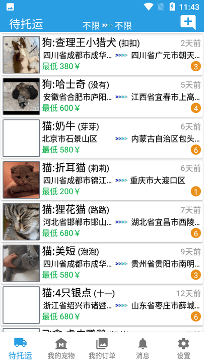 托运宠物 托运宠物