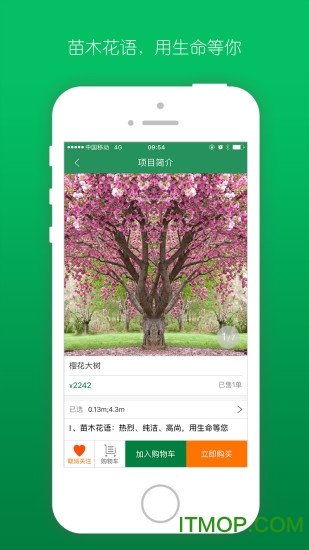 遇树林丰 遇树林丰