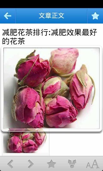 养花百科 养花百科