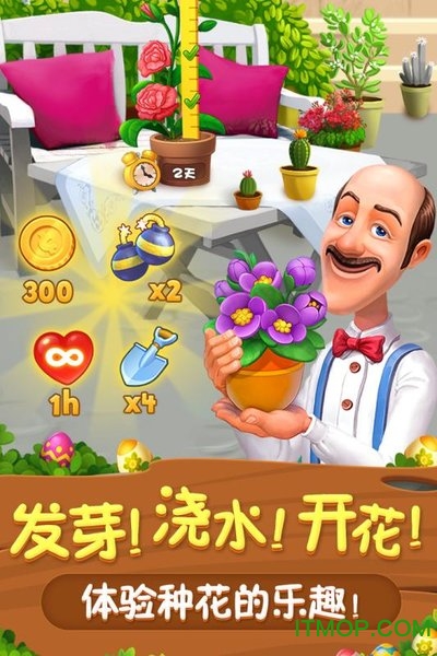 梦幻花园 梦幻花园