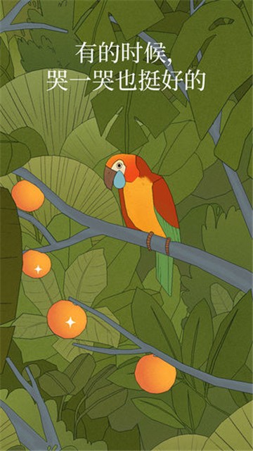 孤独的鸟儿正版 孤独的鸟儿正版