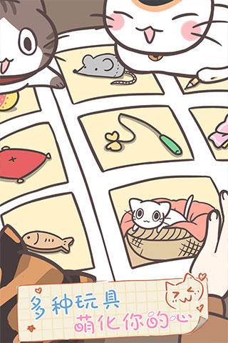 猫咪饲养日常 猫咪饲养日常