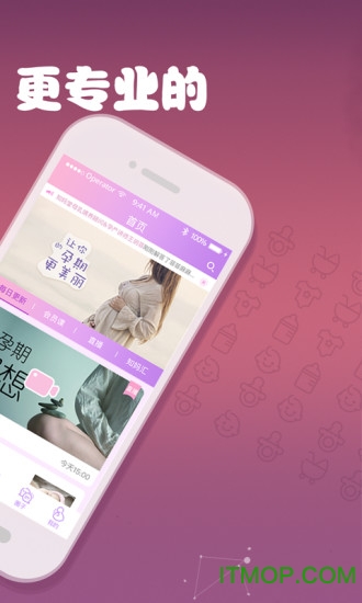 芝麻孕育 芝麻孕育