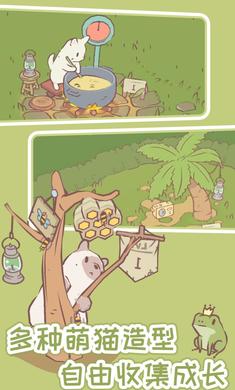 猫咪物语 猫咪物语