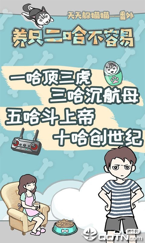 养只二哈不容易 养只二哈不容易