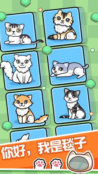 跑酷云养猫 跑酷云养猫