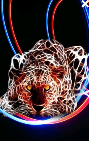 霓虹灯动物壁纸APP 霓虹灯动物壁纸APP